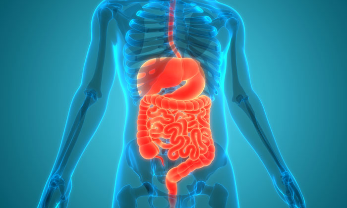 Healthy Digestive System: Expert Tips from a GI Surgeon