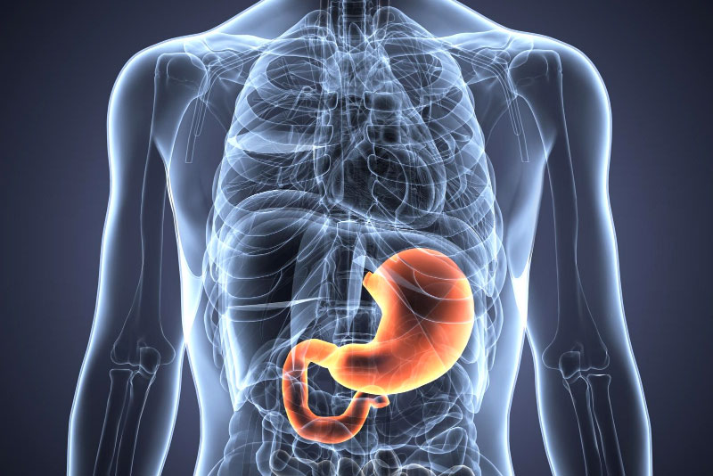 Stomach Cancer Treatment in Delhi: Why Finding the Right GI Cancer Surgeon and Cancer Care matters